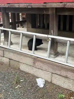 小坂子八幡神社(群馬県)