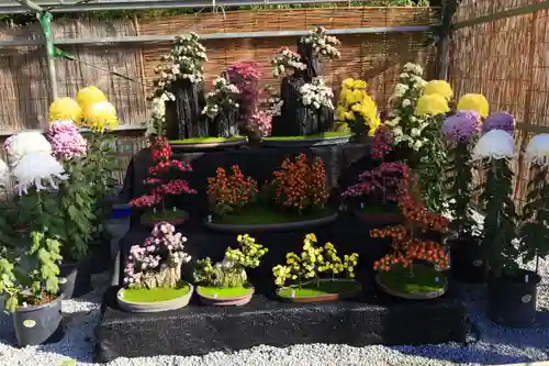 橿原神宮(奈良県)