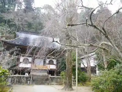 室生寺の本殿・本堂