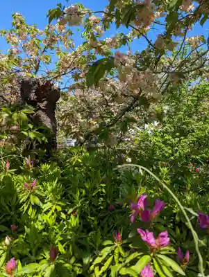 六孫王神社(京都府)