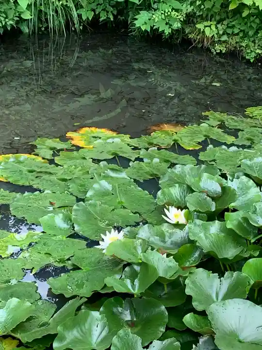 御嶽神社の自然