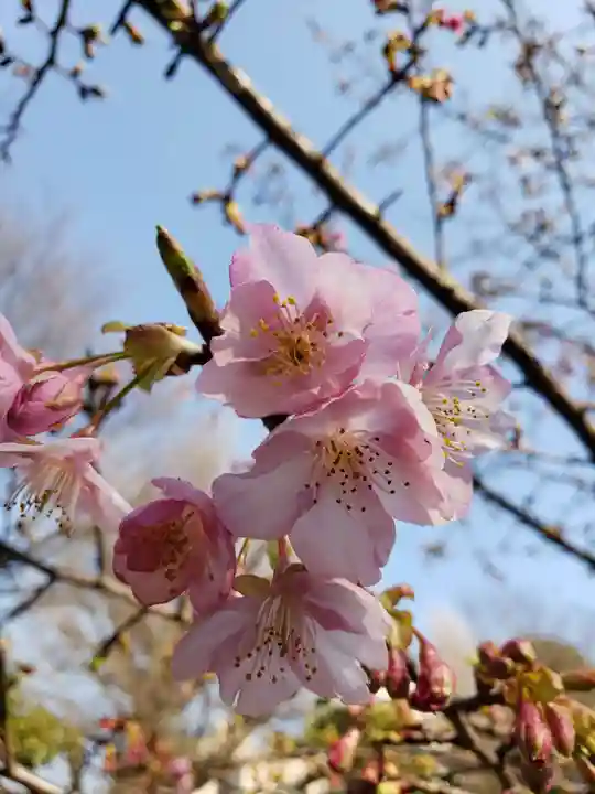 鳩森八幡神社(東京都)