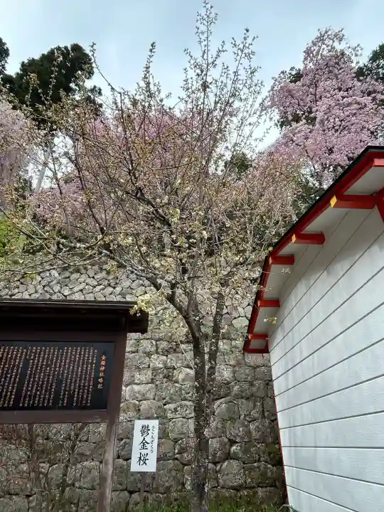 金櫻神社(山梨県)
