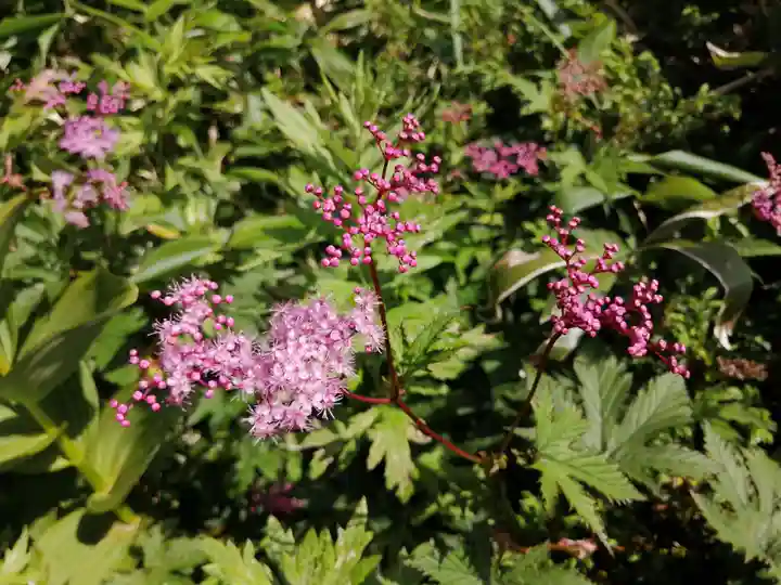 飯森神社奥社(長野県)