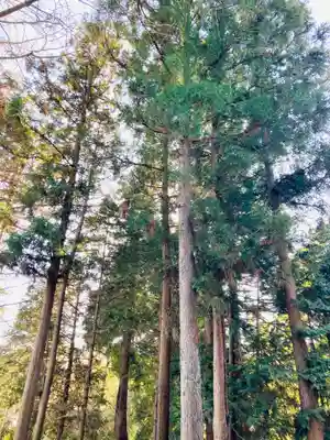 岡見八坂神社(茨城県)