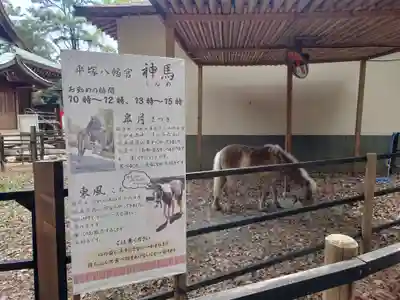 平塚八幡宮(神奈川県)