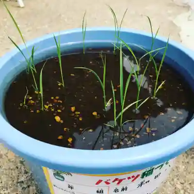 總社 和田八幡宮(福井県)