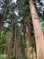 戸隠神社奥社の自然