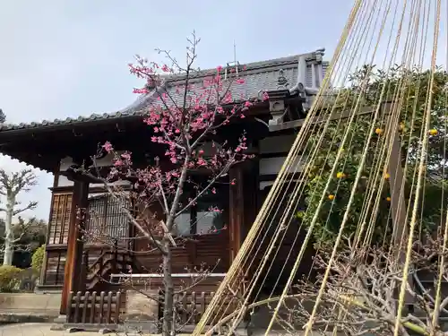 経王寺(東京都)