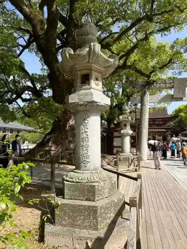 太宰府天満宮(福岡県)