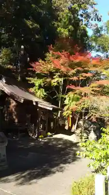 金刀比羅神社(福島県)