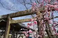 松尾神社(三重県)