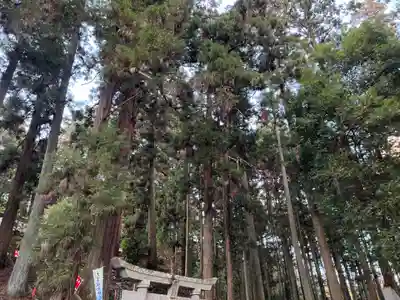 大宮温泉神社(栃木県)