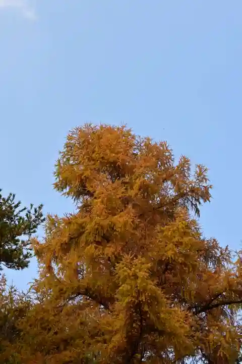 高峯神社(高知県)