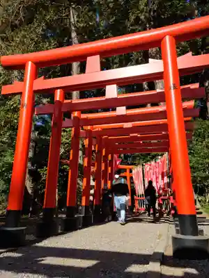 常磐神社の鳥居
