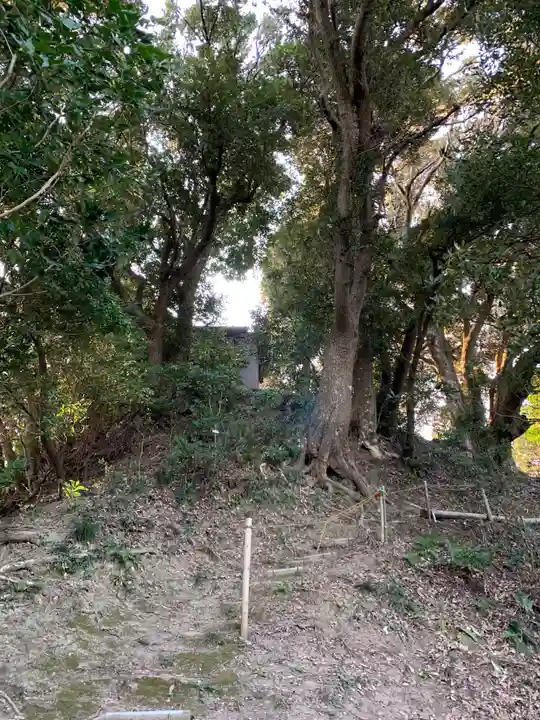 浅間神社の周辺