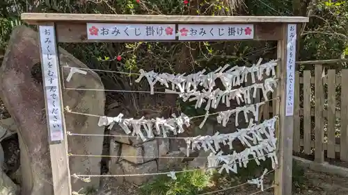 安居神社のおみくじ