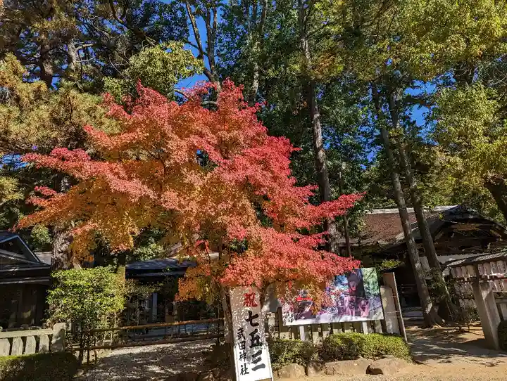 武田神社の庭園