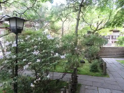 安國論寺（安国論寺）の庭園