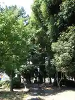 田中天神跡(稲木神社跡)の自然