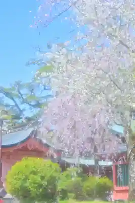 富士山本宮浅間大社(静岡県)