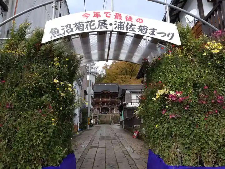 普光寺(新潟県)