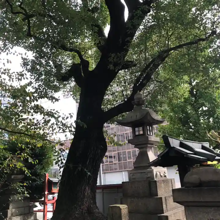 春日神社の自然
