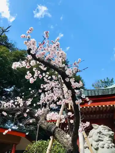自由が丘熊野神社の自然