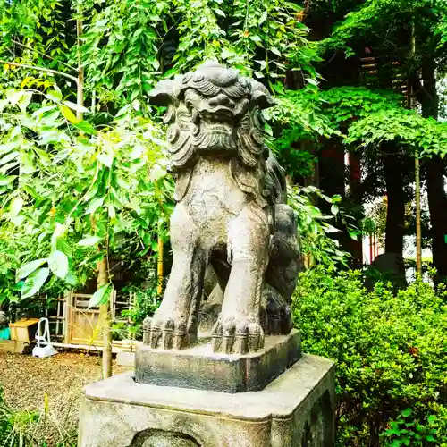 市谷亀岡八幡宮の狛犬