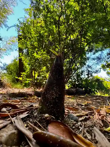 大雲寺(京都府)