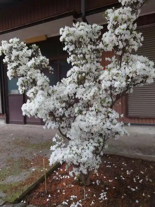倭文神社の自然