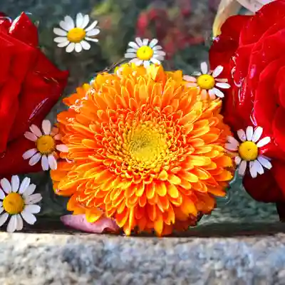三津厳島神社の手水舎