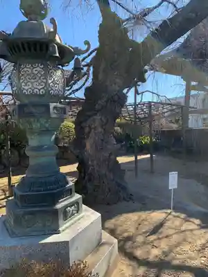 五宝寺(群馬県)