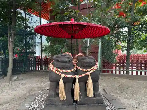 浅草神社の狛犬