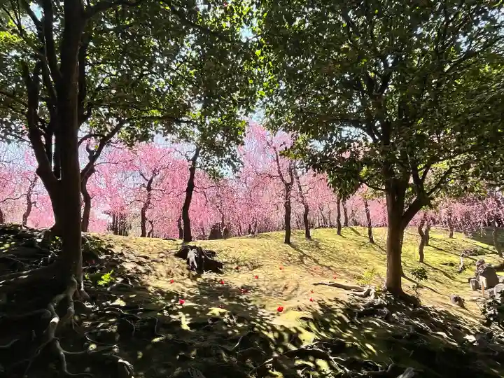 城南宮(京都府)
