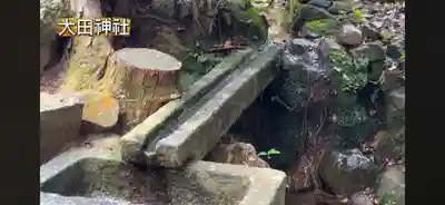 太田神社(京都府)