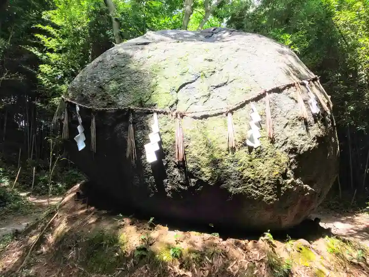 神在神社の自然