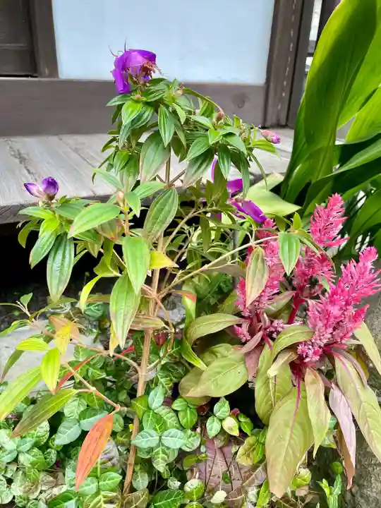 總持院(谷中不動尊)(東京都)