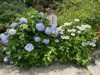 城山八幡宮の自然