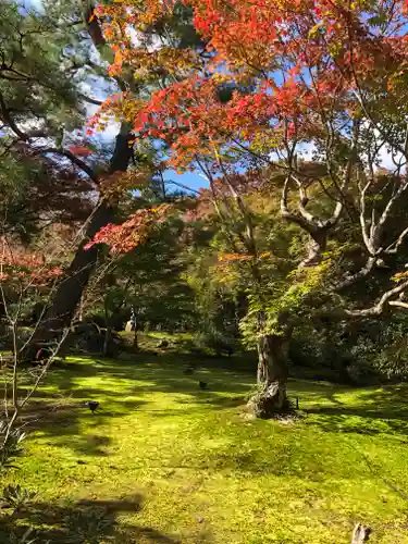 宝厳院の庭園