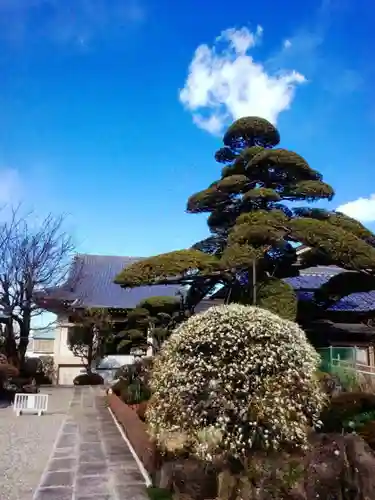 松應寺(東京都)