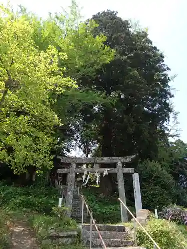 幡井神社の鳥居