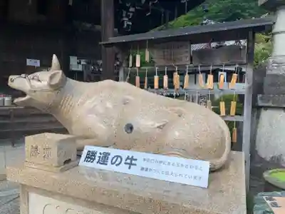 三室戸寺の狛犬