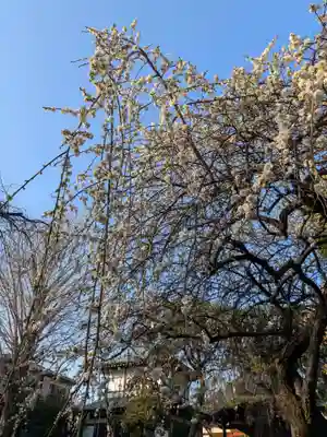蓮華寺(東京都)