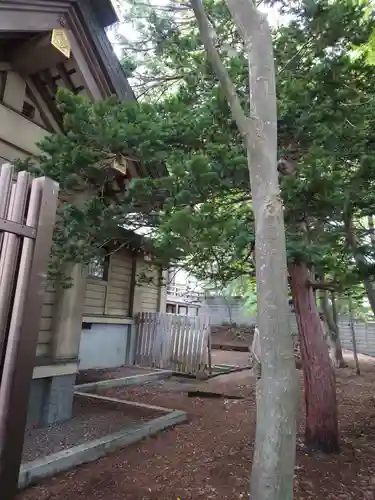 江別神社の本殿