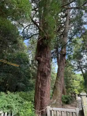 櫻井神社(福岡県)