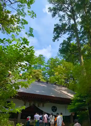 椿大神社の本殿・本堂