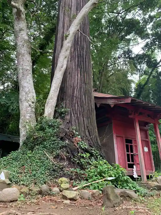 稲荷神社(千葉県)