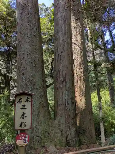 笠森寺(千葉県)