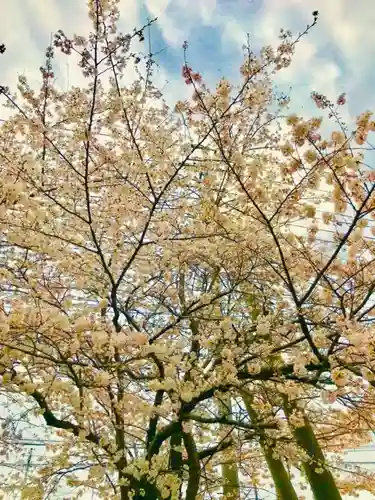 神谷稲荷神社の自然